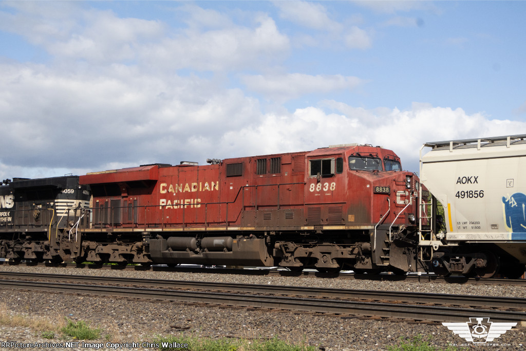 CP 8838